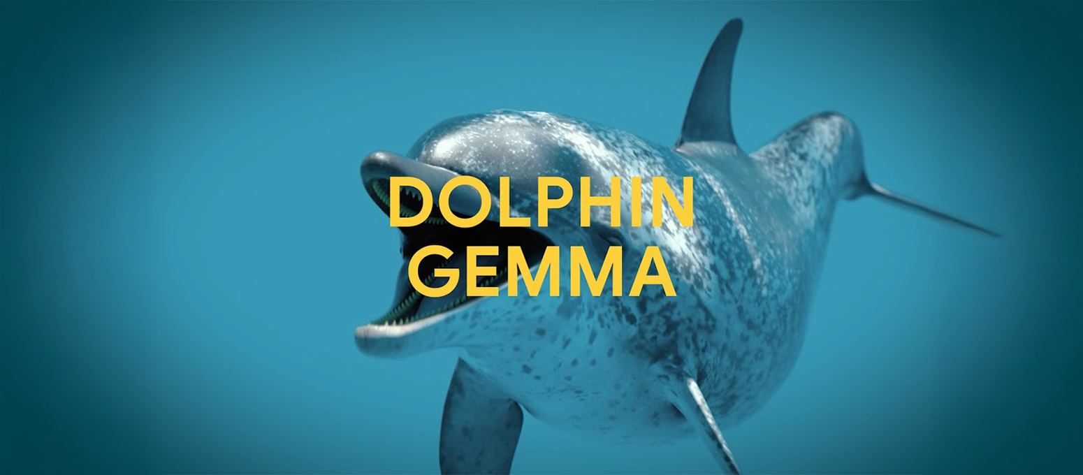 DOLPHINGEMMA: Yunus İletişiminde Yapay Zeka Devrimi